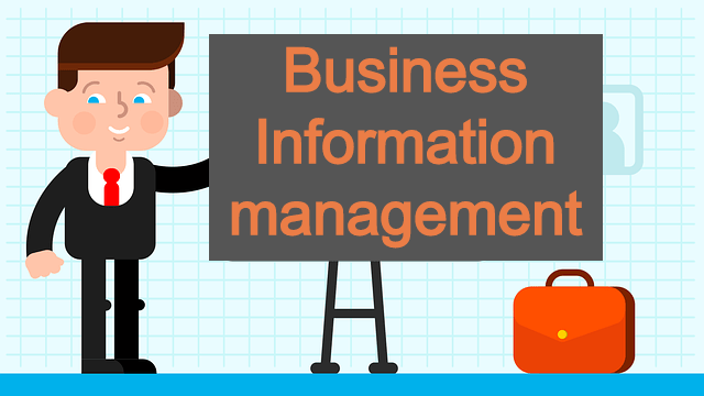 Business Information Management Free Guide To 2023